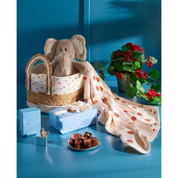 Born To Be Adored Gift Hamper